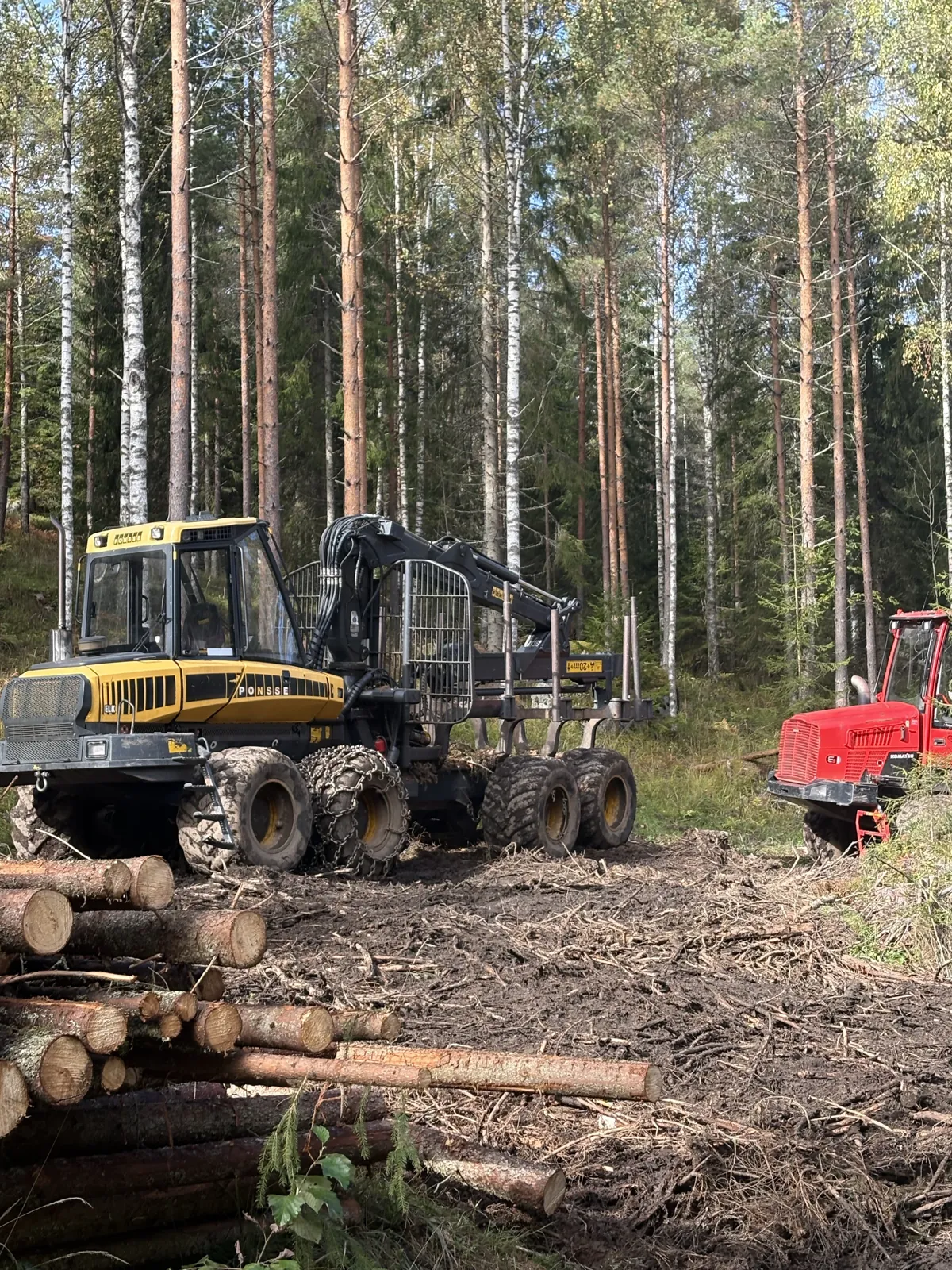 Keltainen kuormatraktori ja tukkipino metsässä.